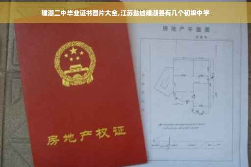 建湖二中毕业证书图片大全,江苏盐城建湖县有几个初级中学