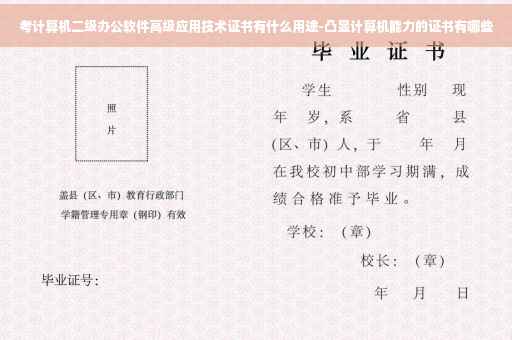 考计算机二级办公软件高级应用技术证书有什么用途-凸显计算机能力的证书有哪些 考计算机二级办公软件高级应用技术证书有什么用途-凸显计算机能力的证书有哪些