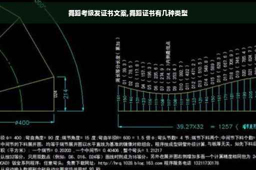 舞蹈考级发证书文案,舞蹈证书有几种类型