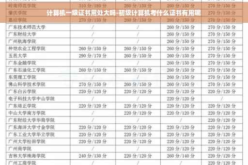 计算机一级证书用处大吗-初级计算机考什么证书有用呢