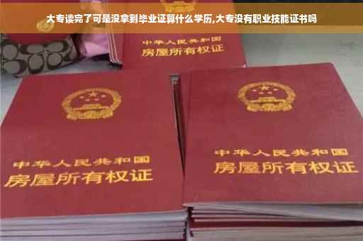 大专读完了可是没拿到毕业证算什么学历,大专没有职业技能证书吗