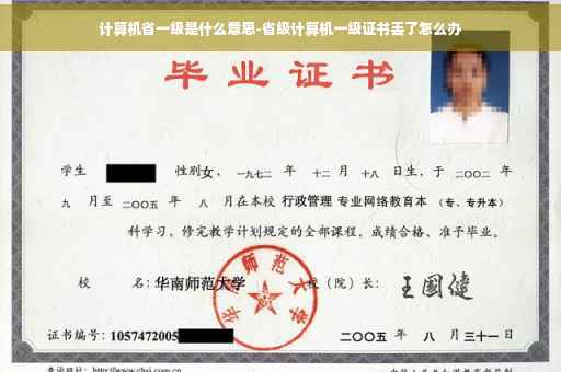 计算机省一级是什么意思-省级计算机一级证书丢了怎么办