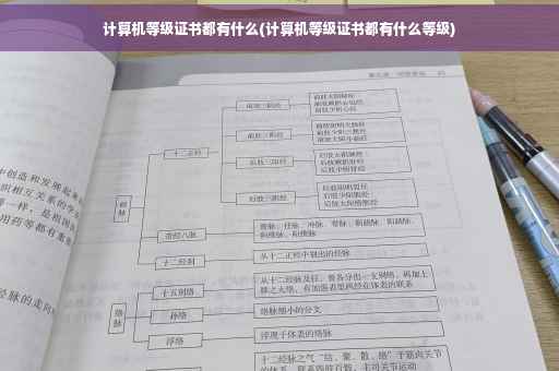 计算机等级证书都有什么(计算机等级证书都有什么等级)