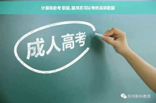 计算机软考 职称,程序员可以考的高级职称
