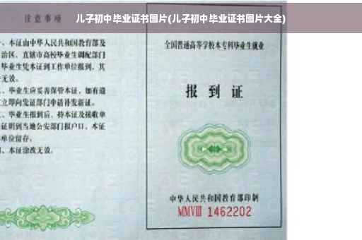 儿子初中毕业证书图片(儿子初中毕业证书图片大全)