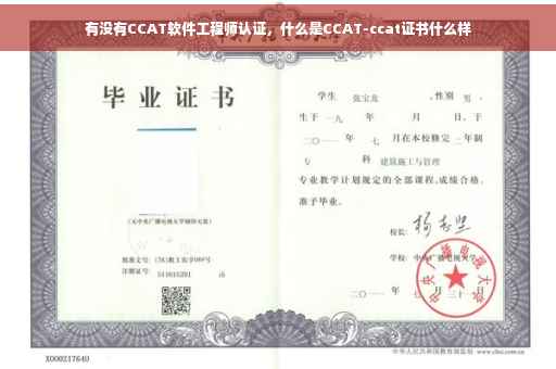 有没有CCAT软件工程师认证，什么是CCAT-ccat证书什么样