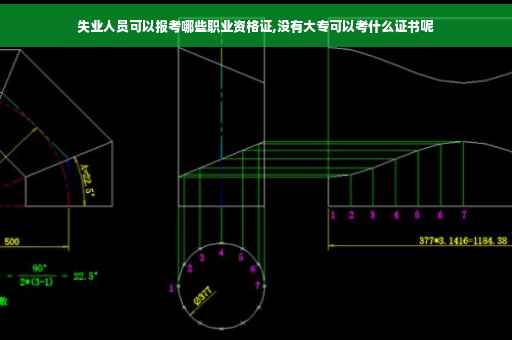 失业人员可以报考哪些职业资格证,没有大专可以考什么证书呢