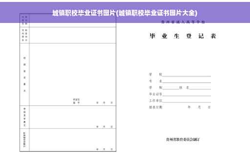 城镇职校毕业证书图片(城镇职校毕业证书图片大全)