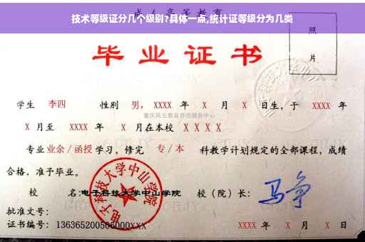 技术等级证分几个级别?具体一点,统计证等级分为几类