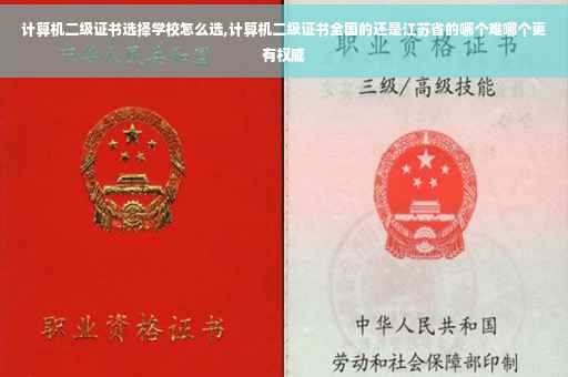 计算机二级证书选择学校怎么选,计算机二级证书全国的还是江苏省的哪个难哪个更有权威
