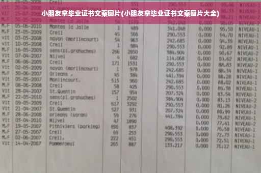 小朋友拿毕业证书文案图片(小朋友拿毕业证书文案图片大全)