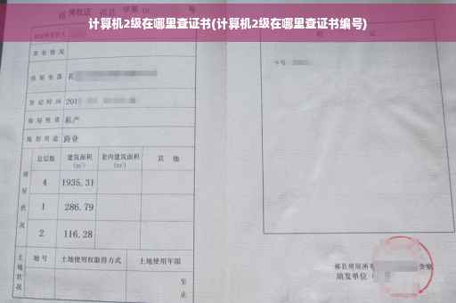 计算机2级在哪里查证书(计算机2级在哪里查证书编号)