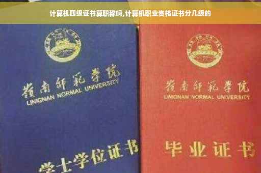 计算机四级证书算职称吗,计算机职业资格证书分几级的