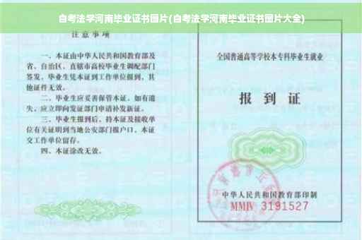 自考法学河南毕业证书图片(自考法学河南毕业证书图片大全)