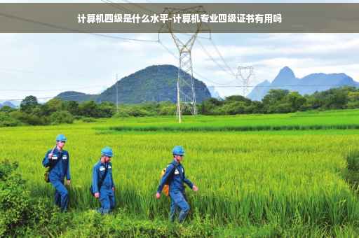 计算机四级是什么水平-计算机专业四级证书有用吗