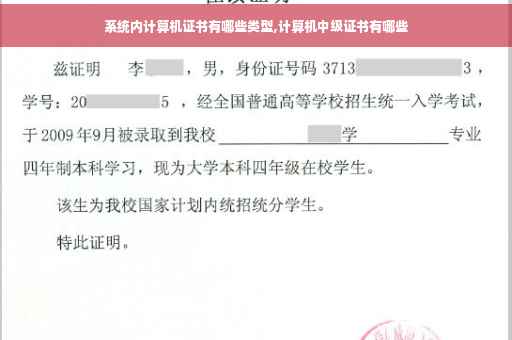 系统内计算机证书有哪些类型,计算机中级证书有哪些