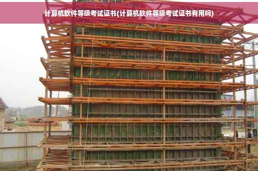 计算机软件等级考试证书(计算机软件等级考试证书有用吗)
