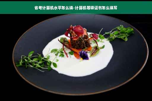 省考计算机水平怎么填-计算机等级证书怎么填写