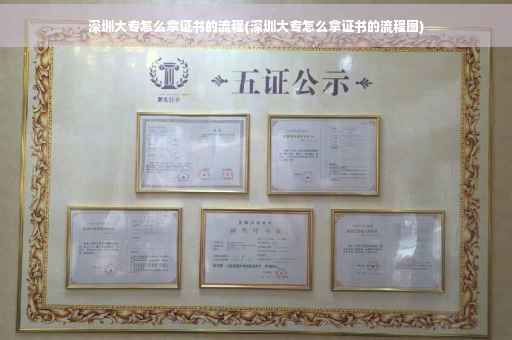 深圳大专怎么拿证书的流程(深圳大专怎么拿证书的流程图)