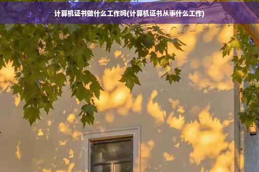 计算机证书做什么工作吗(计算机证书从事什么工作)