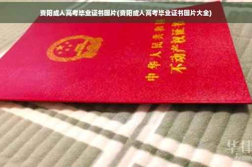 资阳成人高考毕业证书图片(资阳成人高考毕业证书图片大全)