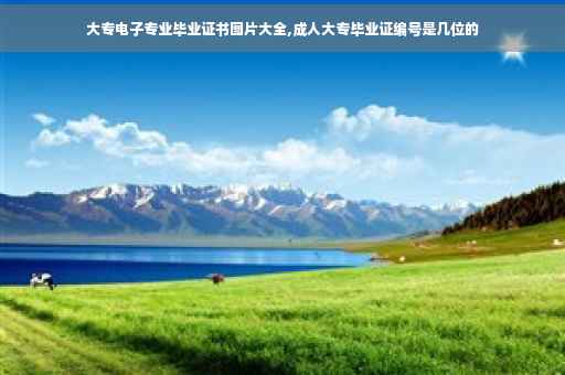 大专电子专业毕业证书图片大全,成人大专毕业证编号是几位的