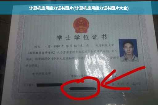 计算机应用能力证书图片(计算机应用能力证书图片大全)