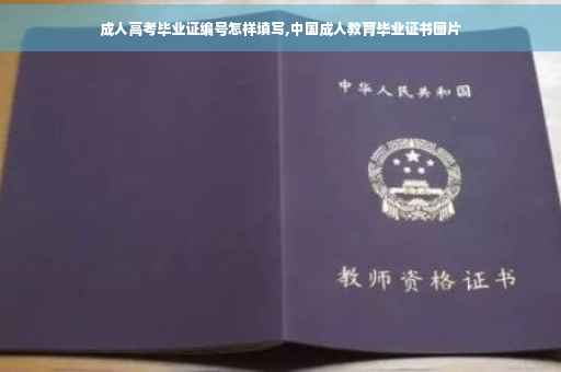 成人高考毕业证编号怎样填写,中国成人教育毕业证书图片