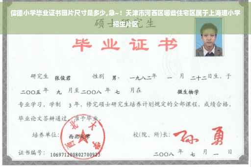 信德小学毕业证书图片尺寸是多少,急~！天津市河西区哪些住宅区属于上海道小学招生片区