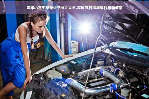 霍邱小学生毕业证书图片大全,霍邱农村房屋确权最新政策