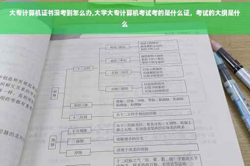 大专计算机证书没考到怎么办,大学大专计算机考试考的是什么证，考试的大纲是什么