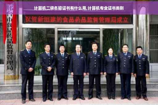 计算机二级名称证书有什么用,计算机专业证书类别