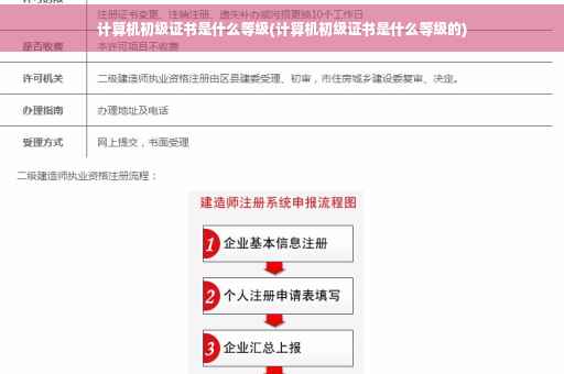 计算机初级证书是什么等级(计算机初级证书是什么等级的)