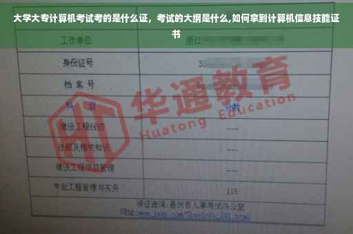 大学大专计算机考试考的是什么证，考试的大纲是什么,如何拿到计算机信息技能证书