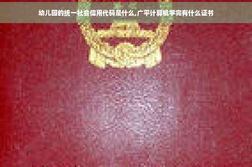 幼儿园的统一社会信用代码是什么,广平计算机学完有什么证书