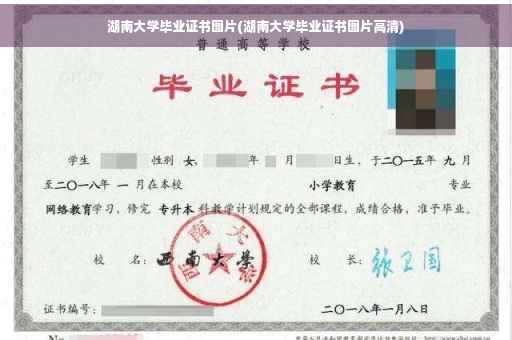 湖南大学毕业证书图片(湖南大学毕业证书图片高清) 湖南大学毕业证书图片(湖南大学毕业证书图片高清)