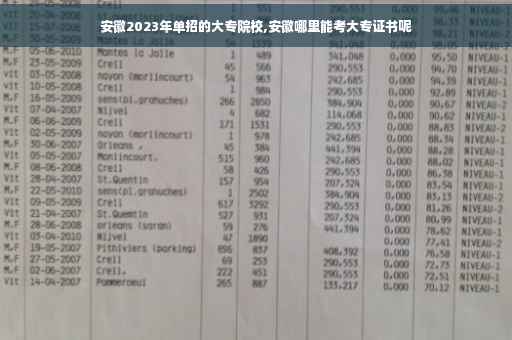 安徽2023年单招的大专院校,安徽哪里能考大专证书呢