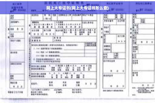 网上大专证书(网上大专证书怎么查)