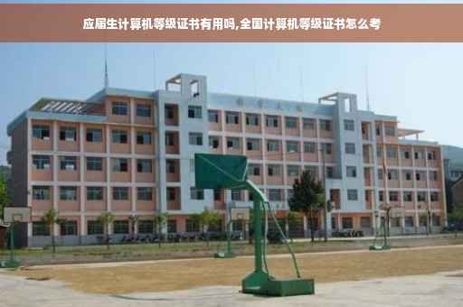 应届生计算机等级证书有用吗,全国计算机等级证书怎么考