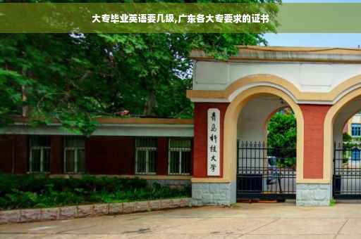 大专毕业英语要几级,广东各大专要求的证书