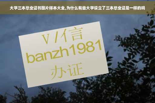 大学三本毕业证书图片样本大全,为什么有些大学设立了三本毕业证是一样的吗 大学三本毕业证书图片样本大全,为什么有些大学设立了三本毕业证是一样的吗