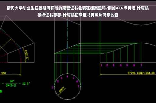 请问大学毕业生在校期间获得的荣誉证书会装在档案里吗?例如4级英语,计算机等级证书等等-计算机初级证书有照片吗怎么查