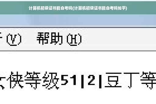 计算机初级证书能自考吗(计算机初级证书能自考吗知乎)