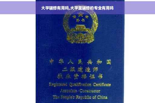 大学辅修有用吗,大学里辅修的专业有用吗