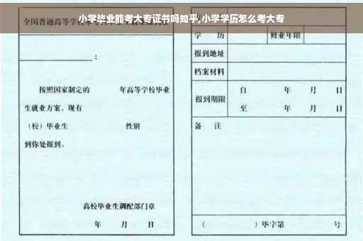 小学毕业能考大专证书吗知乎,小学学历怎么考大专