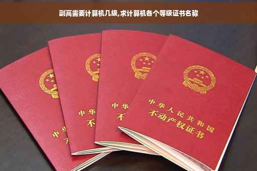 副高需要计算机几级,求计算机各个等级证书名称