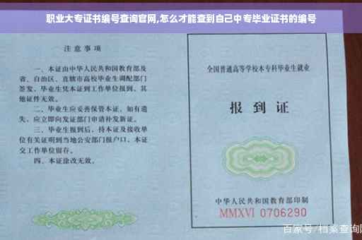 职业大专证书编号查询官网,怎么才能查到自己中专毕业证书的编号