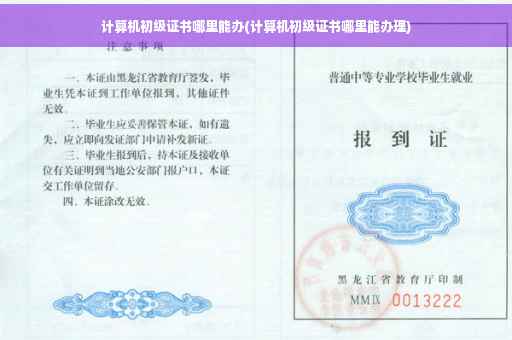 计算机初级证书哪里能办(计算机初级证书哪里能办理)