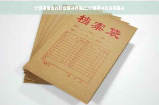 计算机专业的职业证书有哪些,计算机中的最高证书