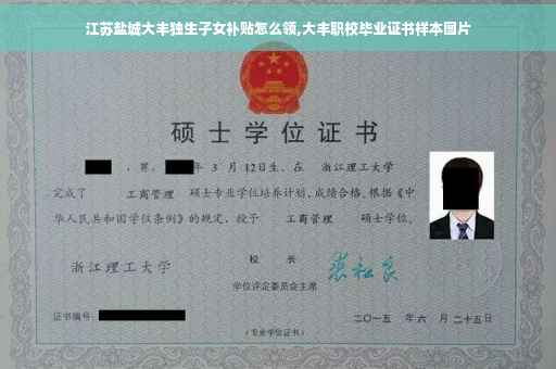 江苏盐城大丰独生子女补贴怎么领,大丰职校毕业证书样本图片
